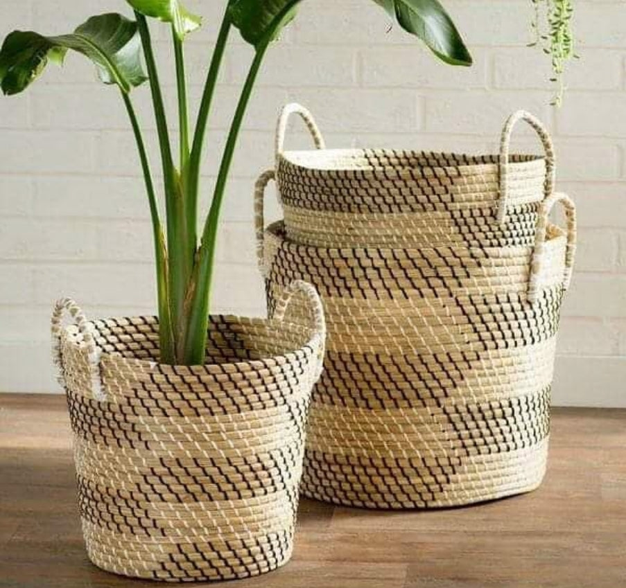 Terisha Plant Baskets (Set of 3)
