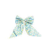Paige Bow